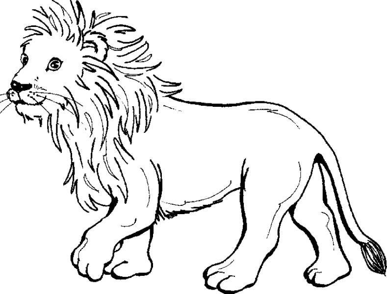 100+ Contoh Gambar Sketsa Singa terbaik - Posts.id