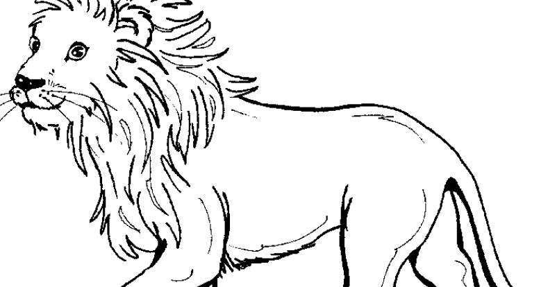 contoh gambar mewarnai singa