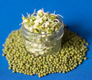 Curry Koottukal: Mulappicha Cherupayar Thoran/Sprouted Green Gram Stir