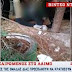 ΒΙΝΤΕΟ - ντοκουμέντο: Αστυνομικοί προσπαθούν να κρατήσουν στη ζωή μαχαιρωμένο