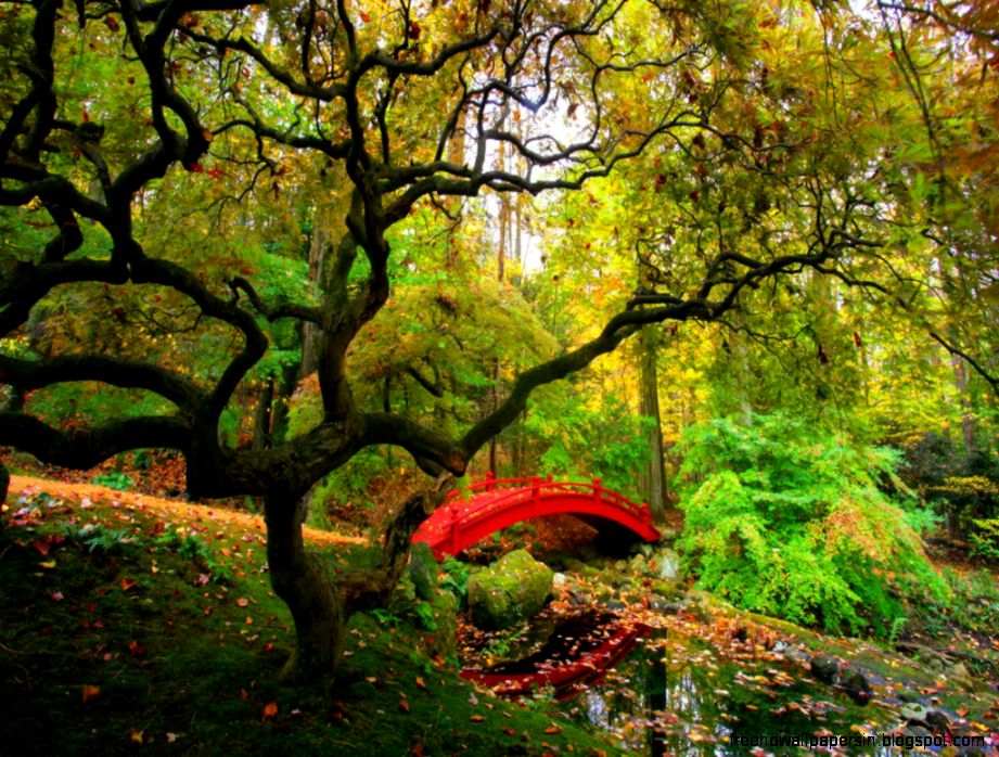 Wallpapers Of Nature Scenes   HD Wallpapers and Pictures