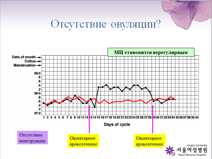 Отсутствует овуляция