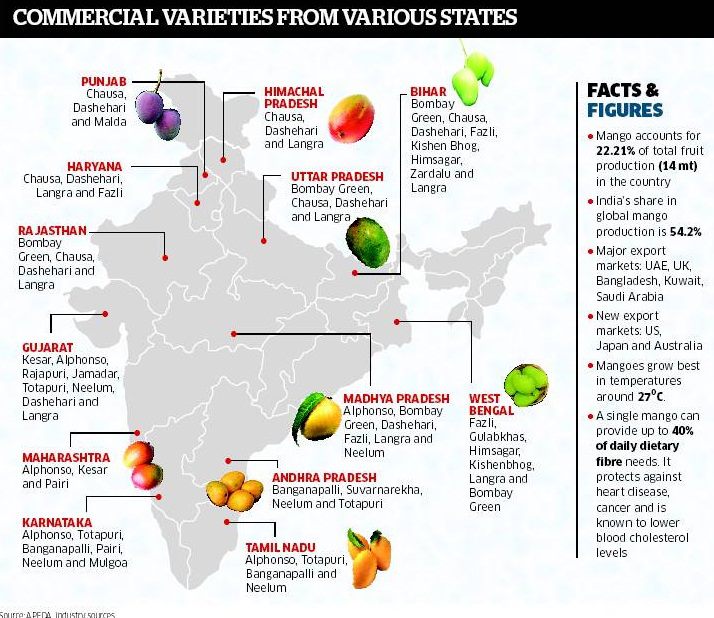 INDIA 2016 Karnataka Mango Corporation seeks royal route to export fruits
