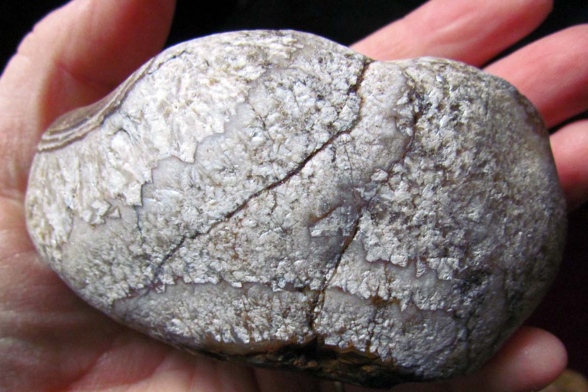 The Agatelady Adventures and Events Wisconsin Agate Collections Post 1