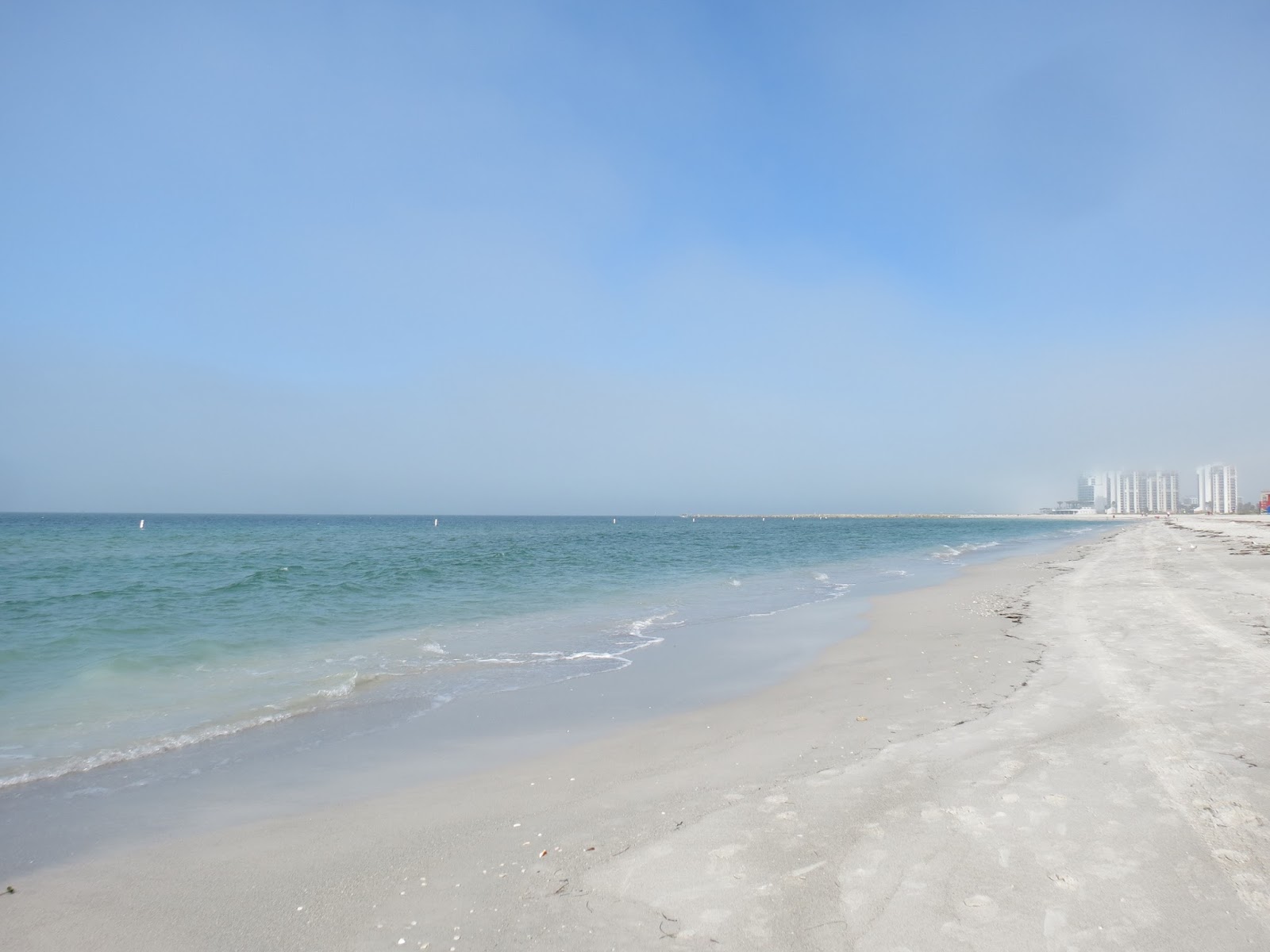 Viewing nature with Eileen Sand Key Park, Clearwater Florida