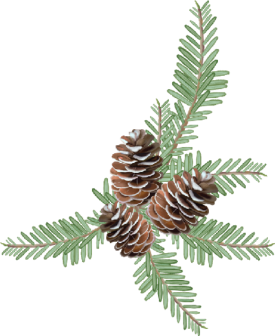Savoir101: Voeux de Noël et du Nouvel An