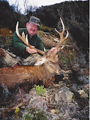 Sika Stag-New Zealand-2005