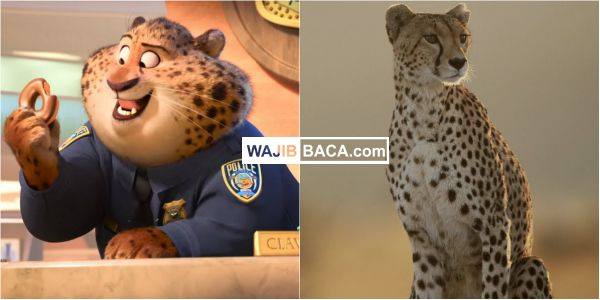 Imutnya Sama! Beginilah Sosok Versi Asli Hewan Di Film Zootopia Imutnya Sama! Beginilah Sosok Versi Asli Hewan Di Film Zootopia