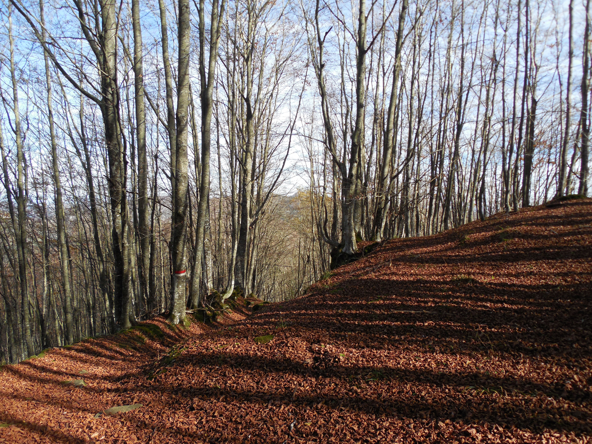 Escursionismo a 360° Nei promontori di Fiumicello (E)