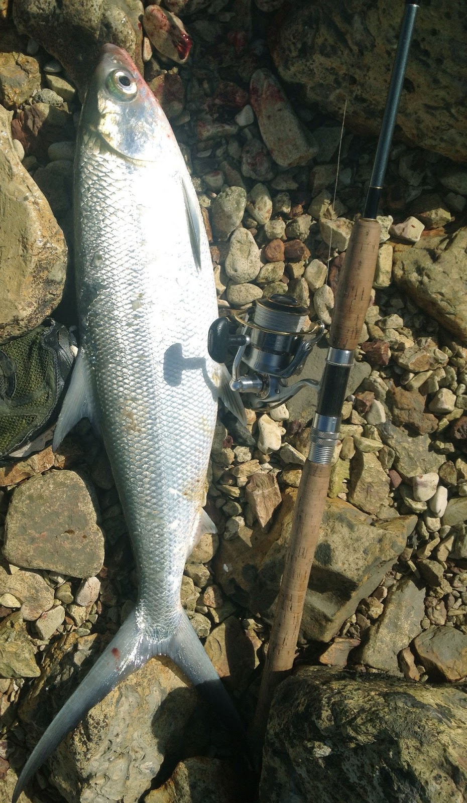Mosquitoes, Sweat and Barra Boofs: Land Based Fishing in the Northern ...
