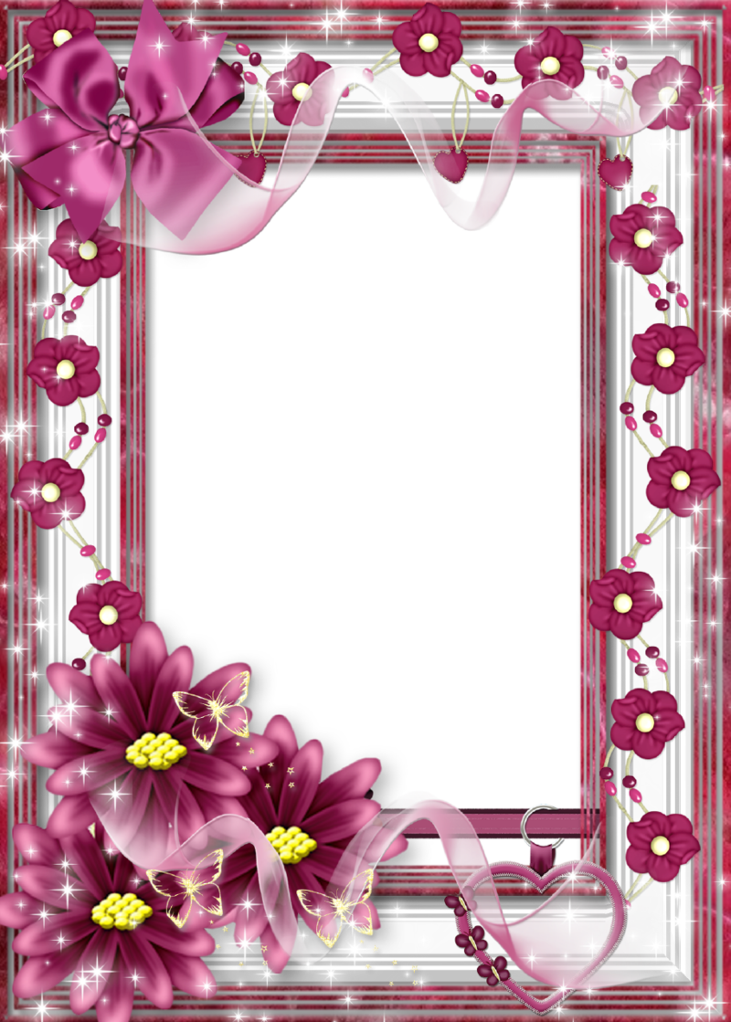 chrysanthemums frames