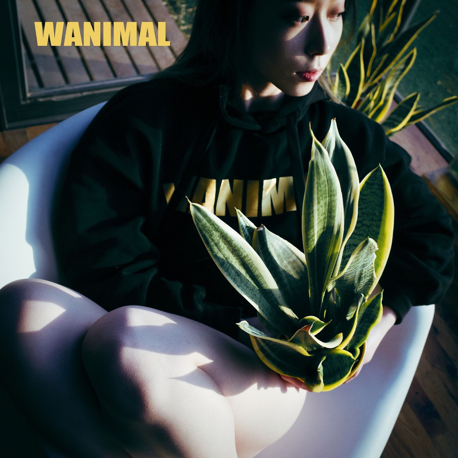 Wanimal1983 361 hosted at ImgBB — ImgBB