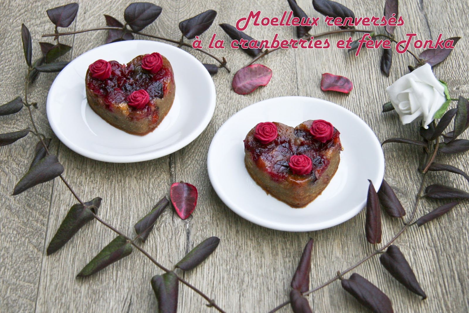 Suis Je Amoureuse Ou Attachée Test Moelleux renversés à la cranberries et fève Tonka