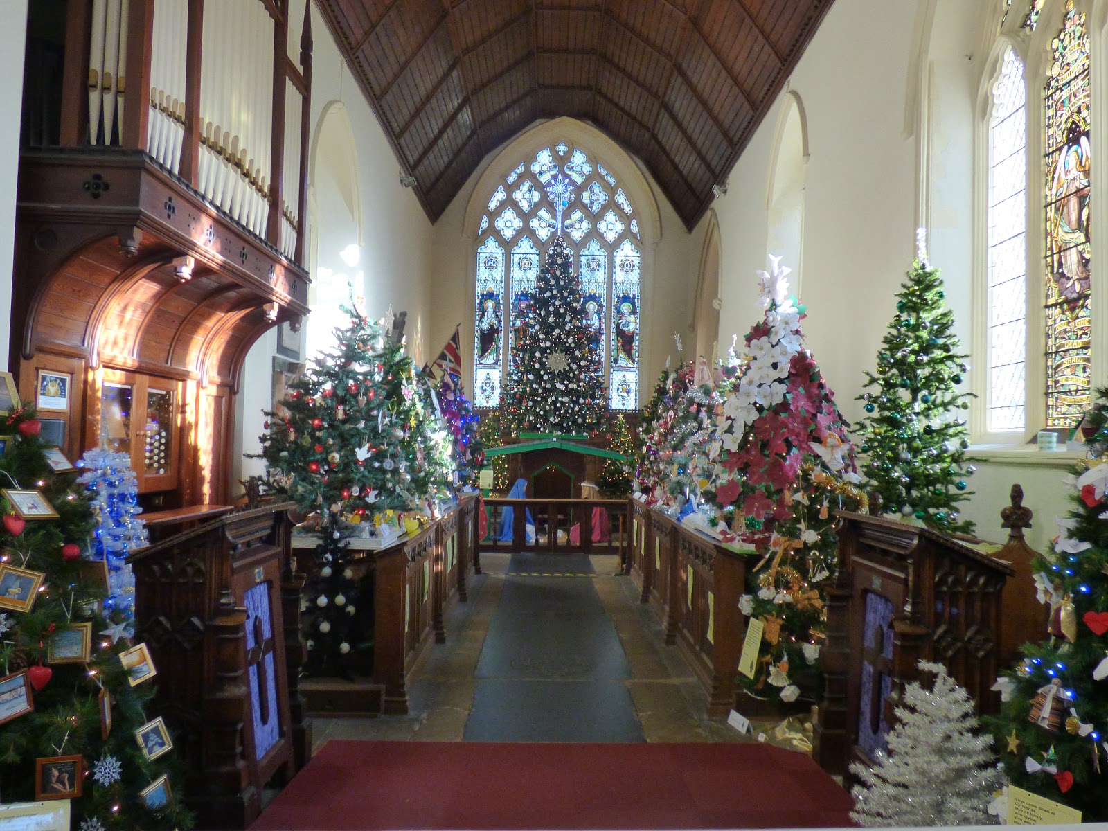 My Quiet Life in Suffolk December 10th and the Christmas trees in the