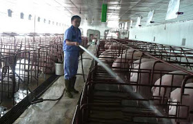 Máy bơm vệ sinh cao áp tẩy rửa chuồng trại chăn nuôi  20150702164546-31