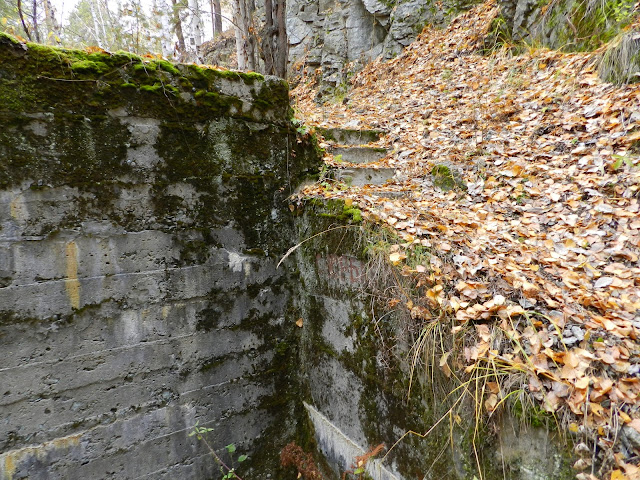 Лестница засыпанная листвой