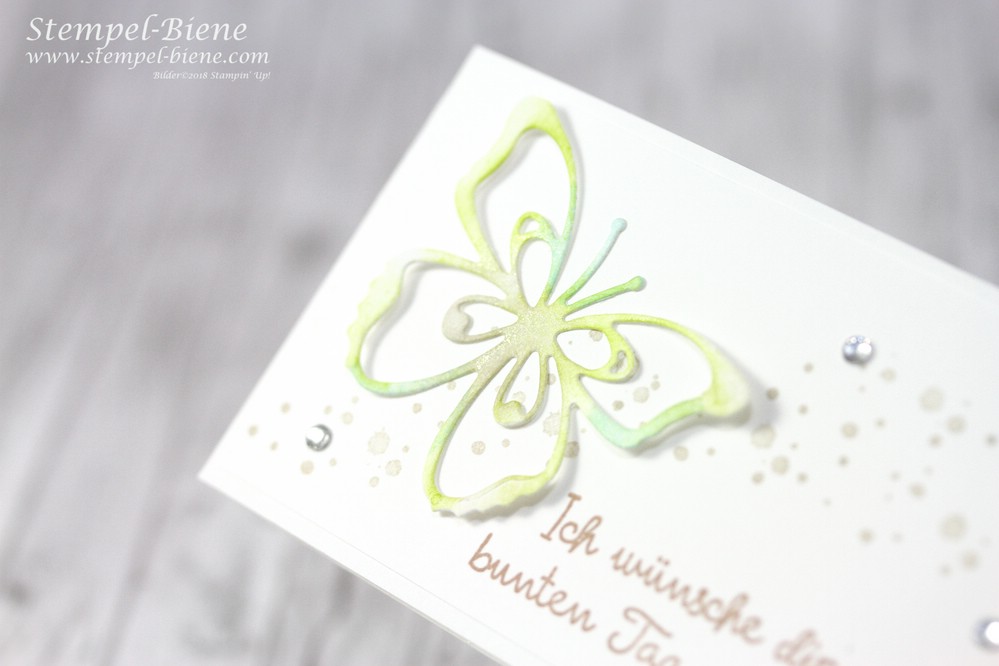 Stempel Biene Kleine Tischkartchen Mit Stampin Up Schone