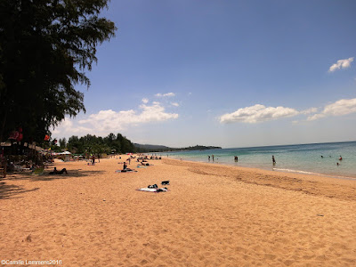 Koh Samui, Thailand daily weather update; 25th January, 2016