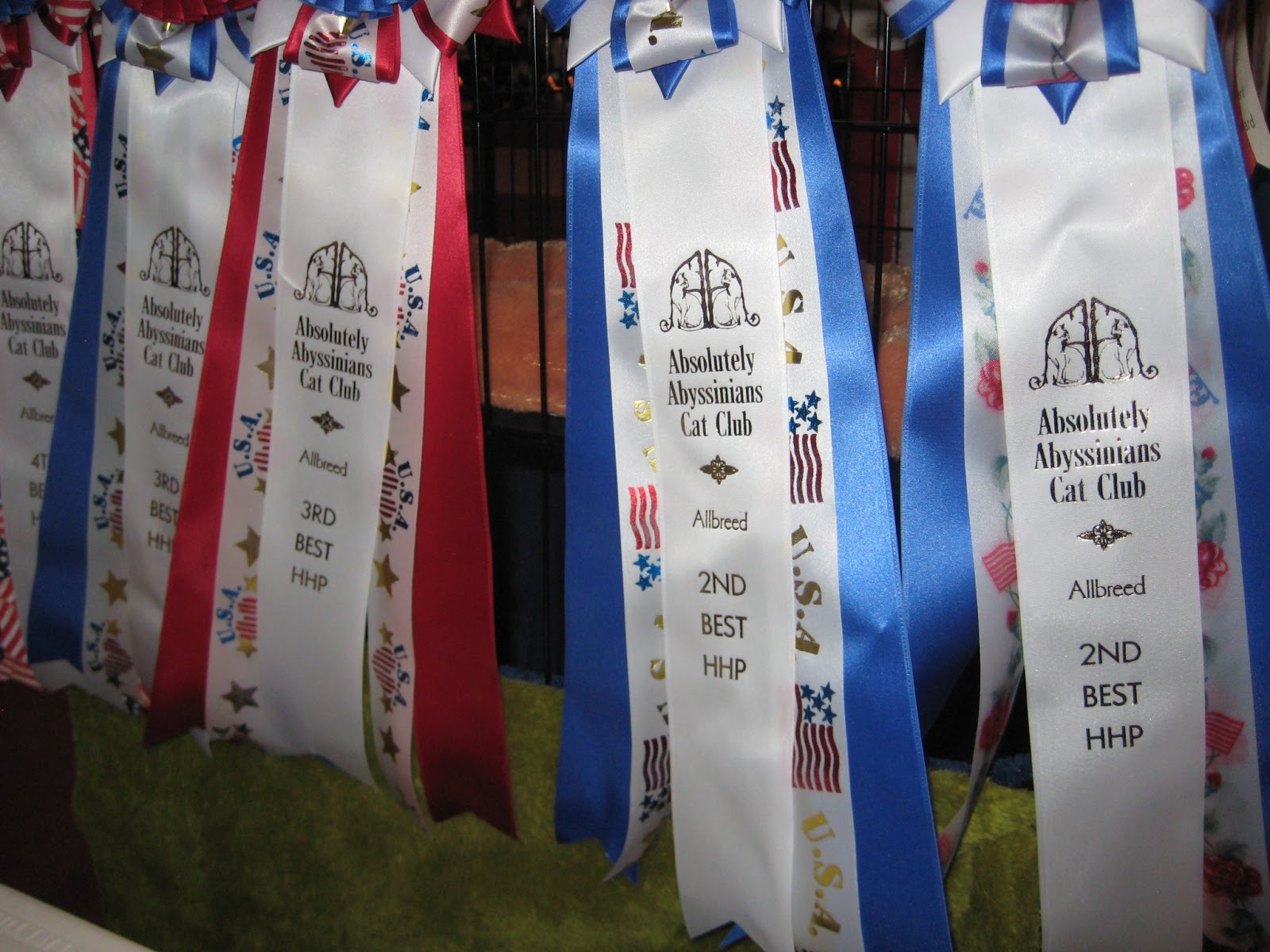 Old Maid Cat Lady: Lessons From a Cat Show, Day 2