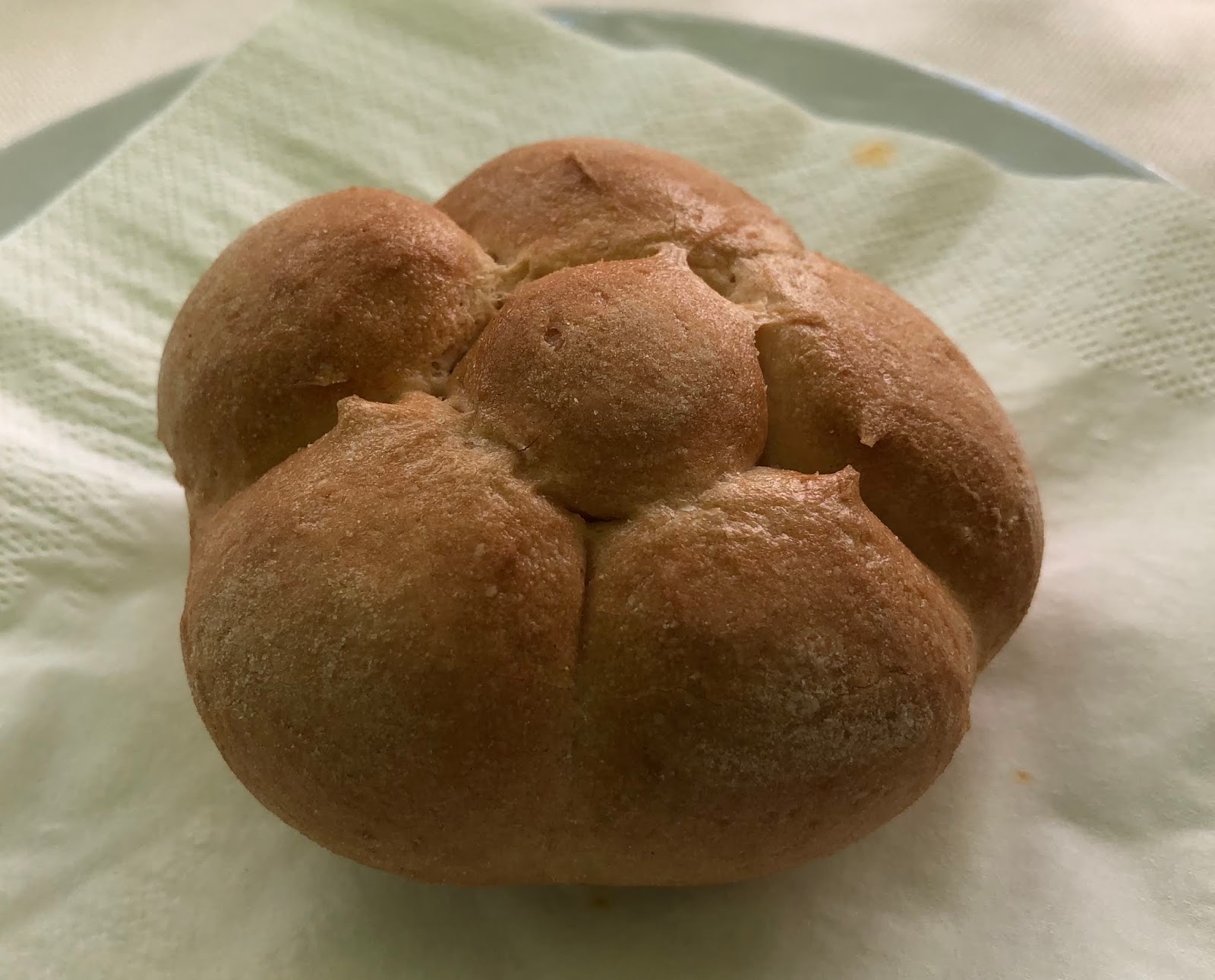 Alexis's Gluten Free Adventures Gluten Free in Bologna and Venice