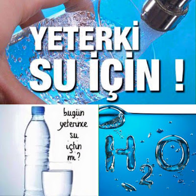 https://www.facebook.com/yemyesilaktar/