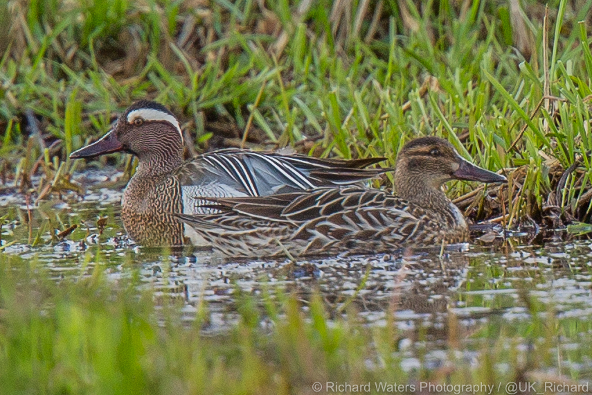 Richard Waters Photography