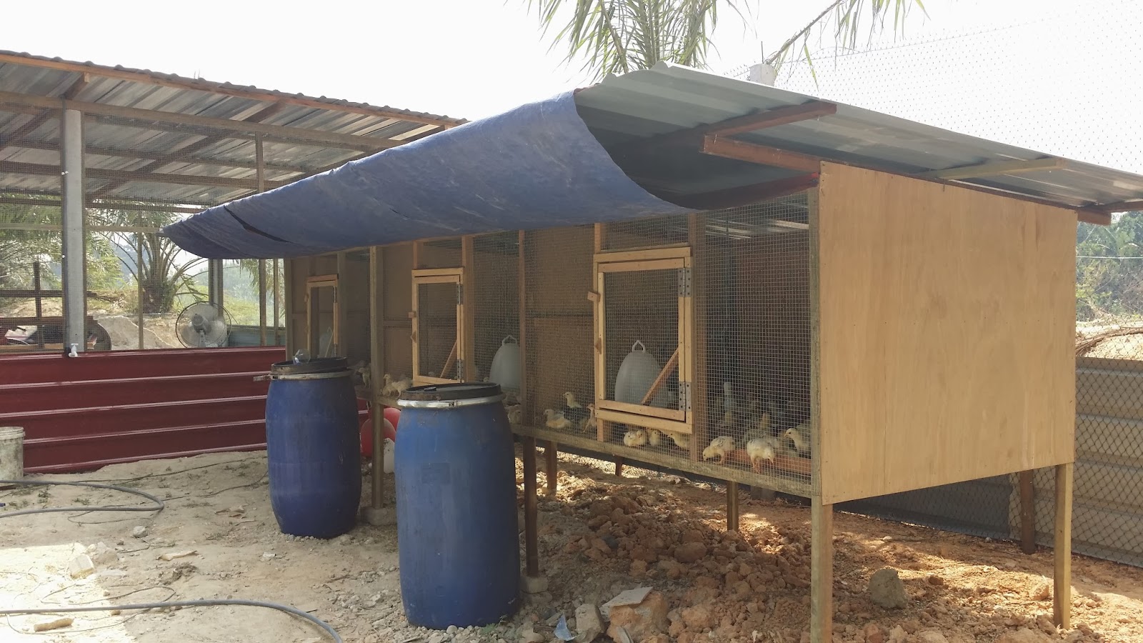 MJ FATONAH SDN BHD: Reban Ayam Kampung En Shaharudin di Teras Jernang Bangi