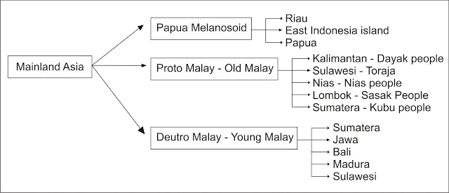 The diagram below shows pre-historic ethnic groups in Indonesia
