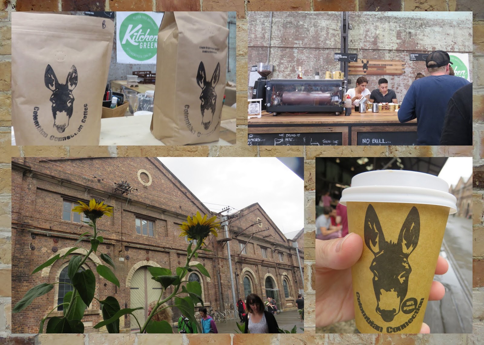 Sydney Coffee 10 for a Caffeine Fix Sidewalk Safari