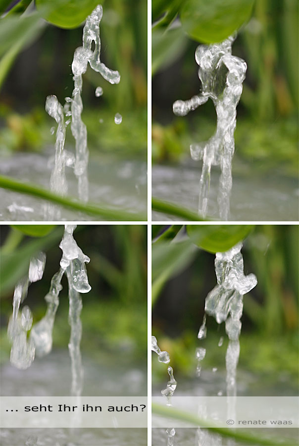 Wasserspiel im Mini-Teich - Solarpumpe mit LED-Beleuchtung