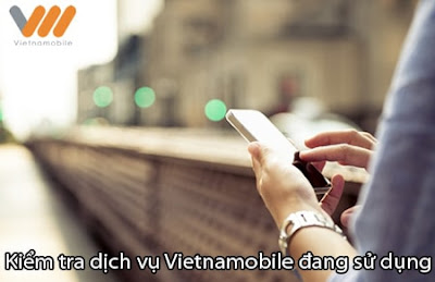 kiểm tra dịch vụ đang dùng của vietnamobile