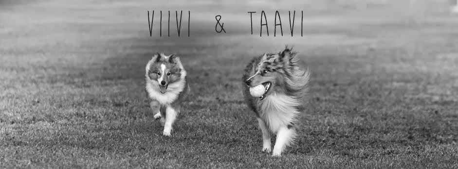 Viivi & Taavi