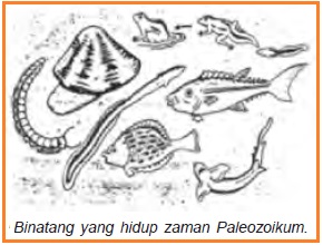 Pembabakan Zaman Prasejarah Berdasarkan Geologi (Arkaekum, Paleozoikum