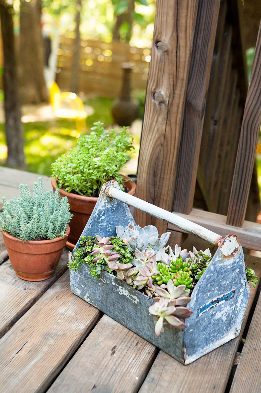 Gardenology: Backyard Decorating Ideas