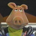 Obrazek