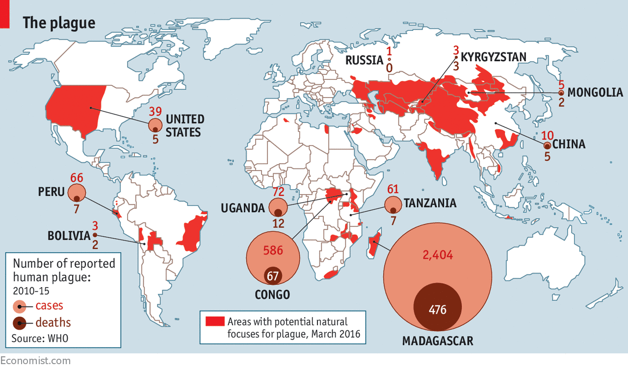Чума карта. Распространенность чумы. Карта распространения чумы. Распространенность чумы в мире. Карта распространения чумы в мире.