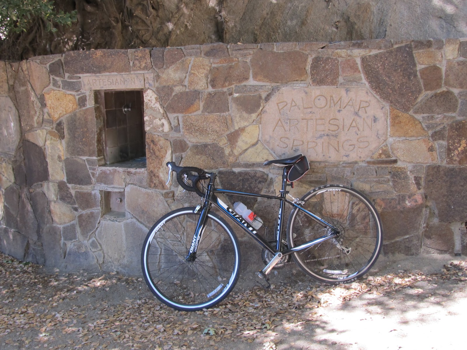 Marg's Racing Ventures Palomar Spring Water