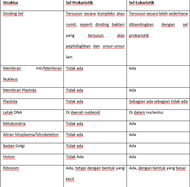 Sel Prokariotik dan Sel Eukariotik - Riolan