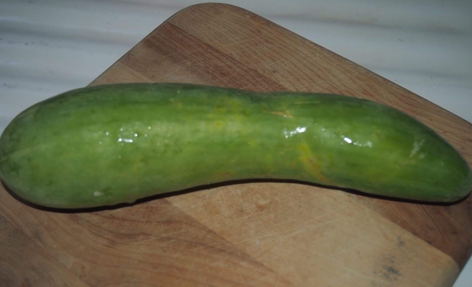 Where does the saying cool as a cucumber come from Heck Of A Bunch Cool Cucumber Salad Recipe