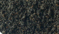 Jenis-jenis Substrat untuk Aquascape