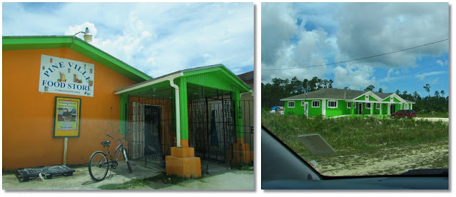 Brightly painted orange and green grocery store.