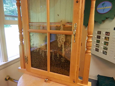 A Mom's Quest to Teach: Trips: Washington Crossing State Park Trip - There are so many great things to see at Washington State Park! #roadtrips #history #naturecenter #homeschool Bee Hive