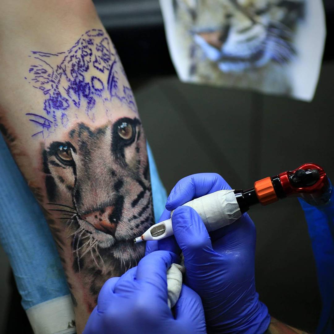 Tiger Face Unfinished Tattoo ~ z Tattoo Geek - Ideas for best tattoos