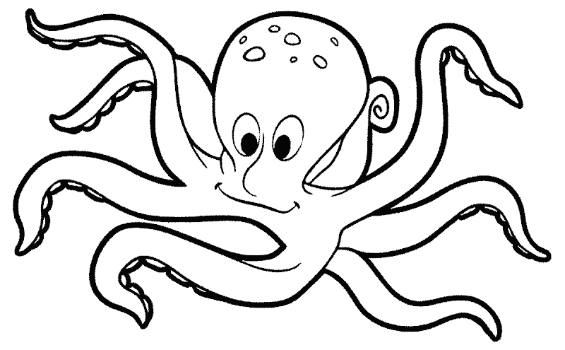 Mewarnai Gambar Binatang Laut Gurita Lucu Untuk Putra-putri Anda