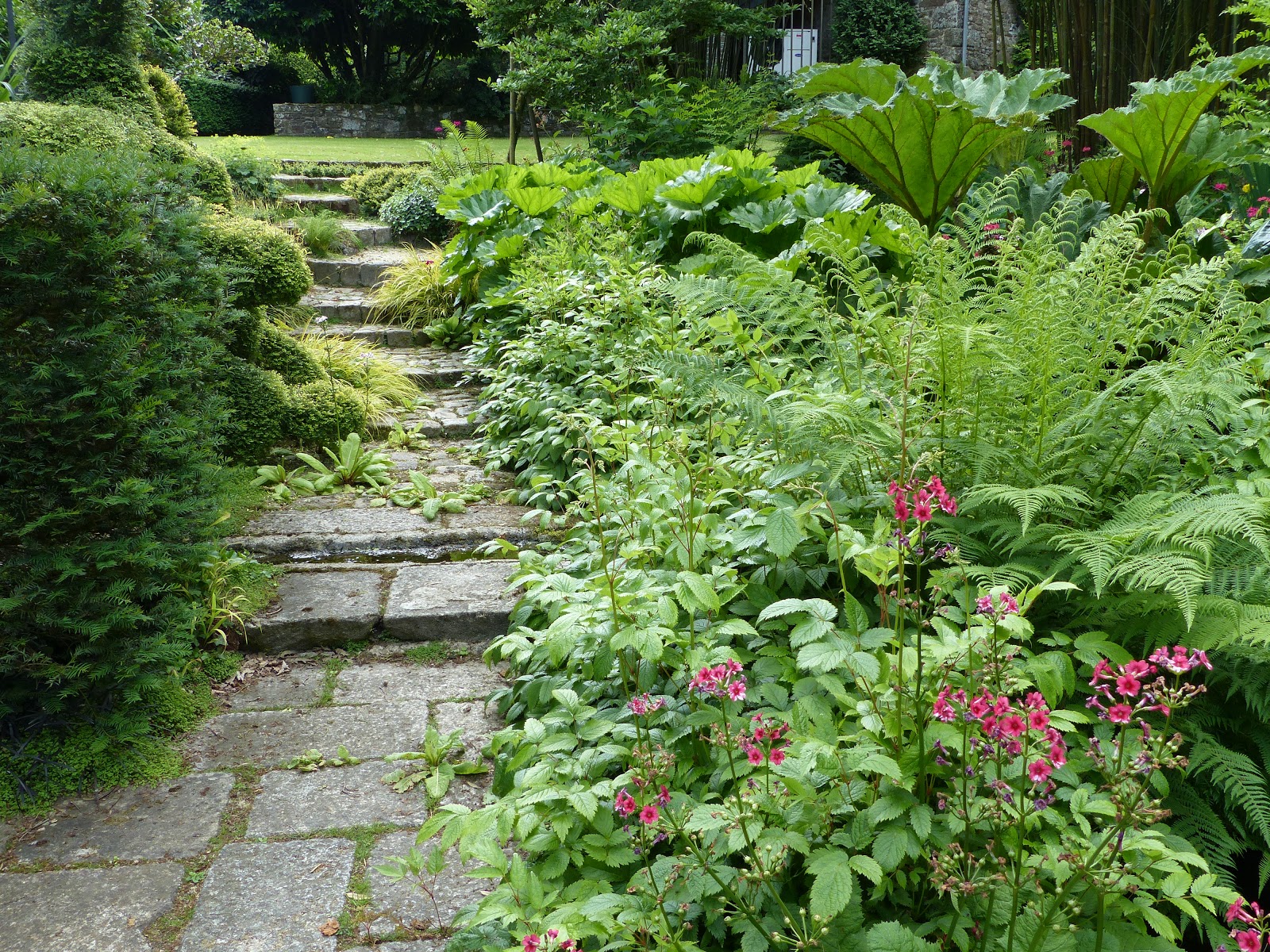 Fleurs Et Couleurs Pour Les Andromedes Paris Cote Jardin