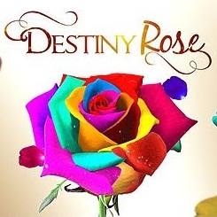 destiny rose november 11 2015 destiny rose november 11 2015
