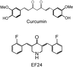 "謎" のクルクミン誘導体「EF24」
