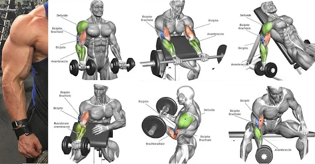 The-Best-Bicep-Workout-For-Mass