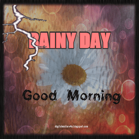 Rainy Day -Good Morning - Images, Videos, Telugu Movie News, Bollywood