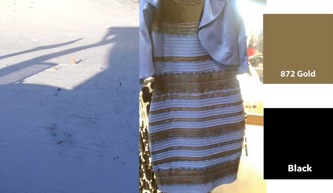 blue black dress explained